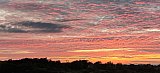 Linlithgow, Parkley Craigs Evening Circular - Thursday 8th May 2025