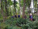 House of Binns, Abercorn & Blackness Circular - Thursday 5th September 2024