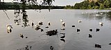 The Brig, West Linlithgow Evening Walk - Thursday 9th July 2026