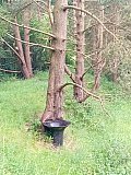 Pentlands - Capelaw & Harbour Hill from Flotterstone - Thursday 27th June 2024