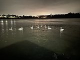 Linlithgow Winter Evening Circular - Thursday 22nd January 2026