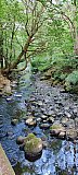 Linhouse & Oakbank Evening Circular - Thursday 28th May 2026