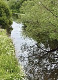 Haddington and Amisfield Gardens - Saturday 18th July 2026